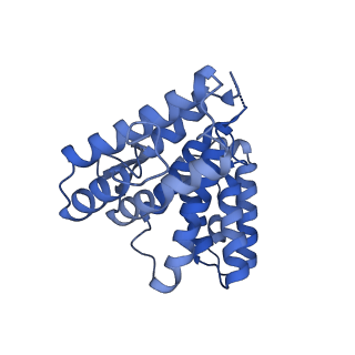 35285_8i9v_Cc_v1-1
Cryo-EM structure of a Chaetomium thermophilum pre-60S ribosomal subunit - State Dbp10-2
