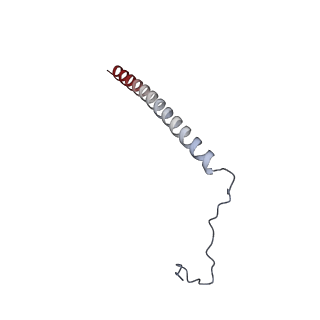 35285_8i9v_Cz_v1-1
Cryo-EM structure of a Chaetomium thermophilum pre-60S ribosomal subunit - State Dbp10-2