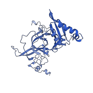 35285_8i9v_LB_v1-1
Cryo-EM structure of a Chaetomium thermophilum pre-60S ribosomal subunit - State Dbp10-2