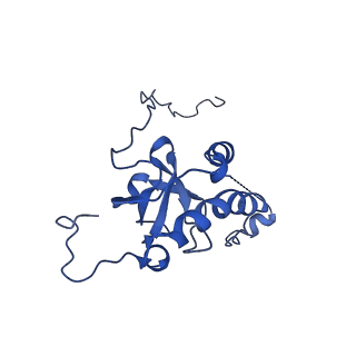 35285_8i9v_LE_v1-1
Cryo-EM structure of a Chaetomium thermophilum pre-60S ribosomal subunit - State Dbp10-2