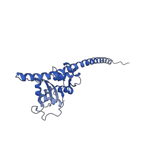 35285_8i9v_LF_v1-1
Cryo-EM structure of a Chaetomium thermophilum pre-60S ribosomal subunit - State Dbp10-2