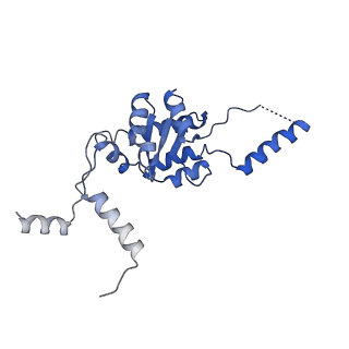 35285_8i9v_LG_v1-1
Cryo-EM structure of a Chaetomium thermophilum pre-60S ribosomal subunit - State Dbp10-2