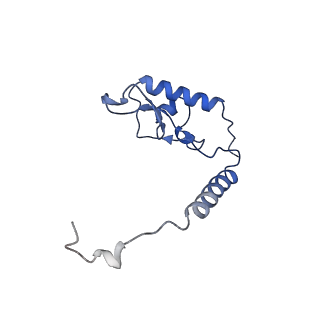 35285_8i9v_LL_v1-1
Cryo-EM structure of a Chaetomium thermophilum pre-60S ribosomal subunit - State Dbp10-2