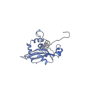 35285_8i9v_LN_v1-1
Cryo-EM structure of a Chaetomium thermophilum pre-60S ribosomal subunit - State Dbp10-2