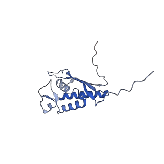 35285_8i9v_LP_v1-1
Cryo-EM structure of a Chaetomium thermophilum pre-60S ribosomal subunit - State Dbp10-2