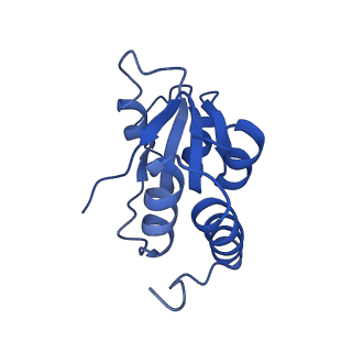 35285_8i9v_LQ_v1-1
Cryo-EM structure of a Chaetomium thermophilum pre-60S ribosomal subunit - State Dbp10-2