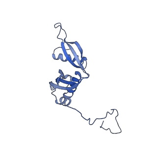 35285_8i9v_LS_v1-1
Cryo-EM structure of a Chaetomium thermophilum pre-60S ribosomal subunit - State Dbp10-2