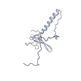 35285_8i9v_LT_v1-1
Cryo-EM structure of a Chaetomium thermophilum pre-60S ribosomal subunit - State Dbp10-2