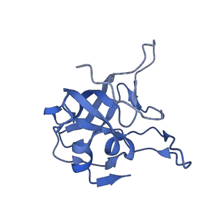 35285_8i9v_LV_v1-1
Cryo-EM structure of a Chaetomium thermophilum pre-60S ribosomal subunit - State Dbp10-2