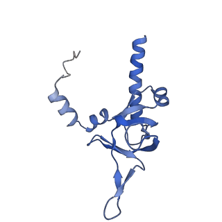 35285_8i9v_LY_v1-1
Cryo-EM structure of a Chaetomium thermophilum pre-60S ribosomal subunit - State Dbp10-2