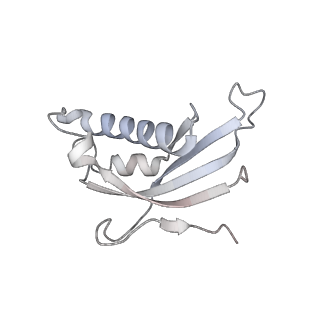 35285_8i9v_Ld_v1-1
Cryo-EM structure of a Chaetomium thermophilum pre-60S ribosomal subunit - State Dbp10-2