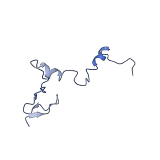 35285_8i9v_Lj_v1-1
Cryo-EM structure of a Chaetomium thermophilum pre-60S ribosomal subunit - State Dbp10-2