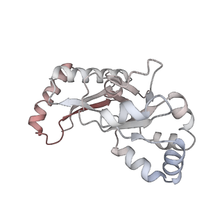 35285_8i9v_Lq_v1-1
Cryo-EM structure of a Chaetomium thermophilum pre-60S ribosomal subunit - State Dbp10-2