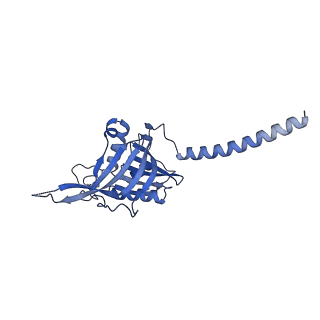 35286_8i9w_CA_v1-1
Cryo-EM structure of a Chaetomium thermophilum pre-60S ribosomal subunit - Dbp10-3