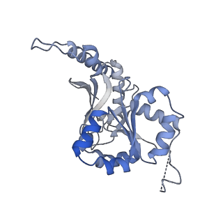 35286_8i9w_CB_v1-1
Cryo-EM structure of a Chaetomium thermophilum pre-60S ribosomal subunit - Dbp10-3