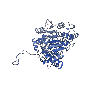 35286_8i9w_CE_v1-1
Cryo-EM structure of a Chaetomium thermophilum pre-60S ribosomal subunit - Dbp10-3
