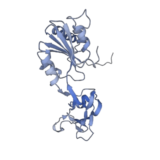 35286_8i9w_CF_v1-1
Cryo-EM structure of a Chaetomium thermophilum pre-60S ribosomal subunit - Dbp10-3