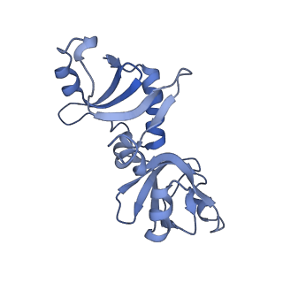 35286_8i9w_CG_v1-1
Cryo-EM structure of a Chaetomium thermophilum pre-60S ribosomal subunit - Dbp10-3
