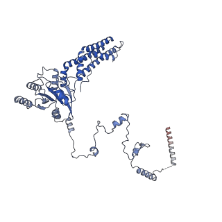 35286_8i9w_CH_v1-1
Cryo-EM structure of a Chaetomium thermophilum pre-60S ribosomal subunit - Dbp10-3