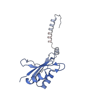 35286_8i9w_CI_v1-1
Cryo-EM structure of a Chaetomium thermophilum pre-60S ribosomal subunit - Dbp10-3
