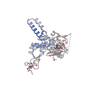 35286_8i9w_CJ_v1-1
Cryo-EM structure of a Chaetomium thermophilum pre-60S ribosomal subunit - Dbp10-3