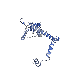 35286_8i9w_CK_v1-1
Cryo-EM structure of a Chaetomium thermophilum pre-60S ribosomal subunit - Dbp10-3