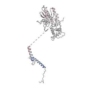 35286_8i9w_CL_v1-1
Cryo-EM structure of a Chaetomium thermophilum pre-60S ribosomal subunit - Dbp10-3