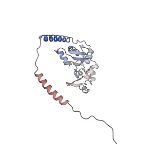 35286_8i9w_CM_v1-1
Cryo-EM structure of a Chaetomium thermophilum pre-60S ribosomal subunit - Dbp10-3