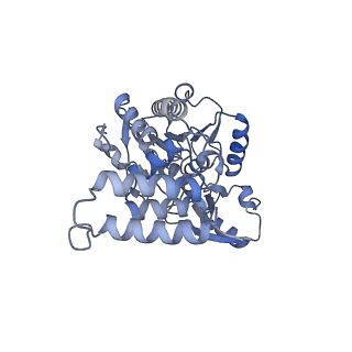 35286_8i9w_CP_v1-1
Cryo-EM structure of a Chaetomium thermophilum pre-60S ribosomal subunit - Dbp10-3