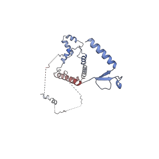 35286_8i9w_CS_v1-1
Cryo-EM structure of a Chaetomium thermophilum pre-60S ribosomal subunit - Dbp10-3