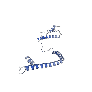 35286_8i9w_CU_v1-1
Cryo-EM structure of a Chaetomium thermophilum pre-60S ribosomal subunit - Dbp10-3