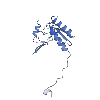 35286_8i9w_CV_v1-1
Cryo-EM structure of a Chaetomium thermophilum pre-60S ribosomal subunit - Dbp10-3