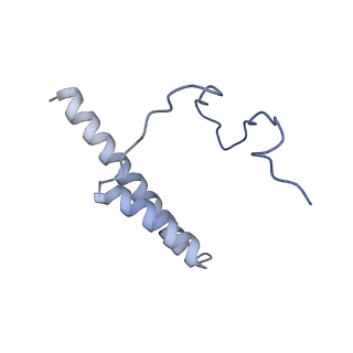 35286_8i9w_CX_v1-1
Cryo-EM structure of a Chaetomium thermophilum pre-60S ribosomal subunit - Dbp10-3