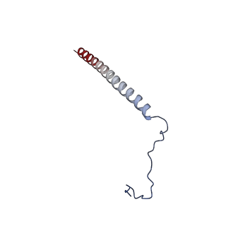 35286_8i9w_Cz_v1-1
Cryo-EM structure of a Chaetomium thermophilum pre-60S ribosomal subunit - Dbp10-3