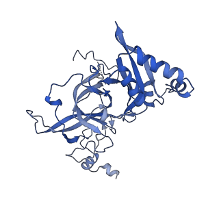 35286_8i9w_LB_v1-1
Cryo-EM structure of a Chaetomium thermophilum pre-60S ribosomal subunit - Dbp10-3