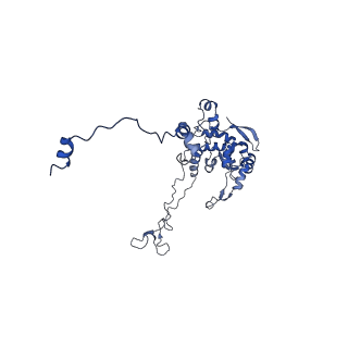 35286_8i9w_LC_v1-1
Cryo-EM structure of a Chaetomium thermophilum pre-60S ribosomal subunit - Dbp10-3