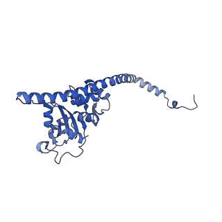 35286_8i9w_LF_v1-1
Cryo-EM structure of a Chaetomium thermophilum pre-60S ribosomal subunit - Dbp10-3