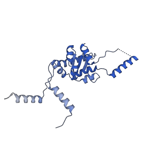 35286_8i9w_LG_v1-1
Cryo-EM structure of a Chaetomium thermophilum pre-60S ribosomal subunit - Dbp10-3