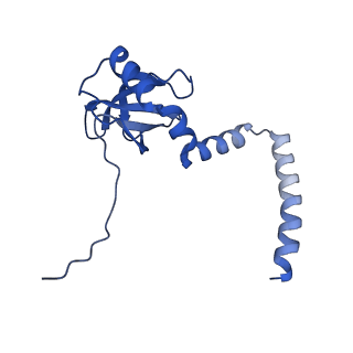 35286_8i9w_LM_v1-1
Cryo-EM structure of a Chaetomium thermophilum pre-60S ribosomal subunit - Dbp10-3