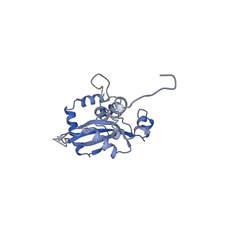 35286_8i9w_LN_v1-1
Cryo-EM structure of a Chaetomium thermophilum pre-60S ribosomal subunit - Dbp10-3