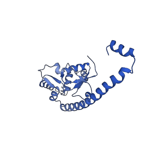 35286_8i9w_LO_v1-1
Cryo-EM structure of a Chaetomium thermophilum pre-60S ribosomal subunit - Dbp10-3