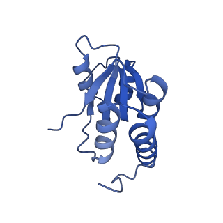 35286_8i9w_LQ_v1-1
Cryo-EM structure of a Chaetomium thermophilum pre-60S ribosomal subunit - Dbp10-3