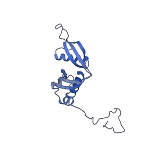 35286_8i9w_LS_v1-1
Cryo-EM structure of a Chaetomium thermophilum pre-60S ribosomal subunit - Dbp10-3