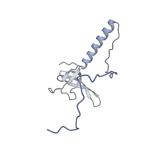 35286_8i9w_LT_v1-1
Cryo-EM structure of a Chaetomium thermophilum pre-60S ribosomal subunit - Dbp10-3