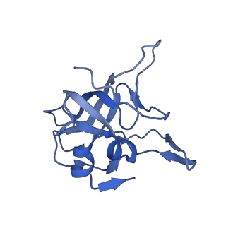 35286_8i9w_LV_v1-1
Cryo-EM structure of a Chaetomium thermophilum pre-60S ribosomal subunit - Dbp10-3