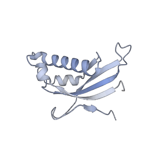 35286_8i9w_Ld_v1-1
Cryo-EM structure of a Chaetomium thermophilum pre-60S ribosomal subunit - Dbp10-3