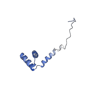 35286_8i9w_Li_v1-1
Cryo-EM structure of a Chaetomium thermophilum pre-60S ribosomal subunit - Dbp10-3
