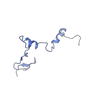 35286_8i9w_Lj_v1-1
Cryo-EM structure of a Chaetomium thermophilum pre-60S ribosomal subunit - Dbp10-3