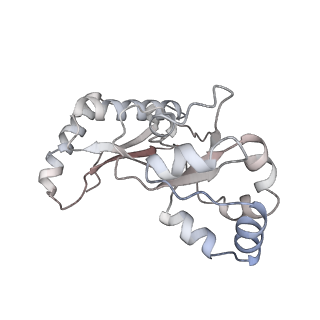 35286_8i9w_Lq_v1-1
Cryo-EM structure of a Chaetomium thermophilum pre-60S ribosomal subunit - Dbp10-3