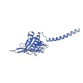 35287_8i9x_CA_v1-1
Cryo-EM structure of a Chaetomium thermophilum pre-60S ribosomal subunit - Ytm1-1